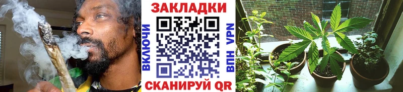  COCAIN Костомукша