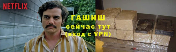 индика Ростов