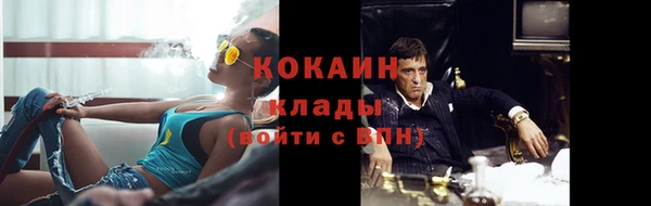 индика Ростов