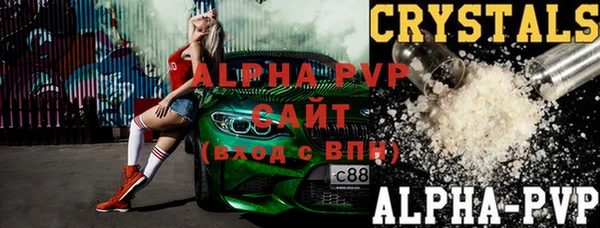 индика Ростов