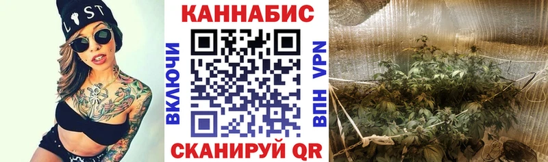 блэк спрут зеркало  Костомукша  Канабис White Widow 